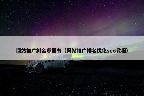 网站推广排名哪里有（网站推广排名优化seo教程）