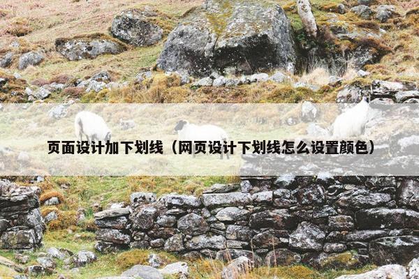 页面设计加下划线（网页设计下划线怎么设置颜色）