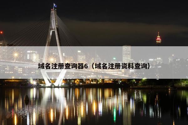 域名注册查询器6（域名注册资料查询）