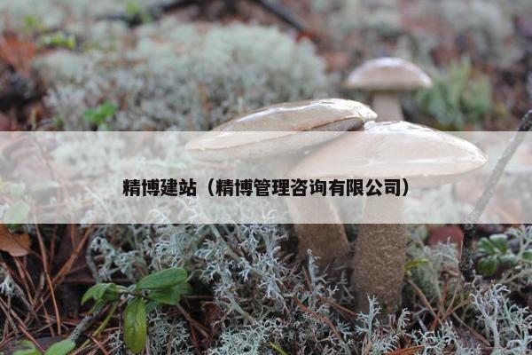 精博建站（精博管理咨询有限公司）