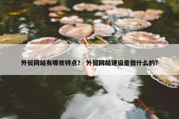 外贸网站有哪些特点？ 外贸网站建设是做什么的？