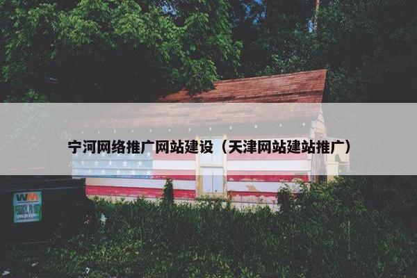 宁河网络推广网站建设（天津网站建站推广）