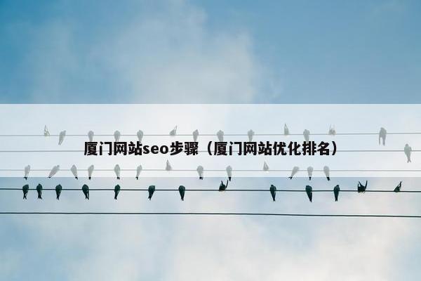 厦门网站seo步骤（厦门网站优化排名）
