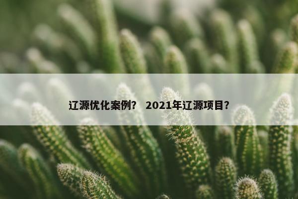 辽源优化案例？ 2021年辽源项目？