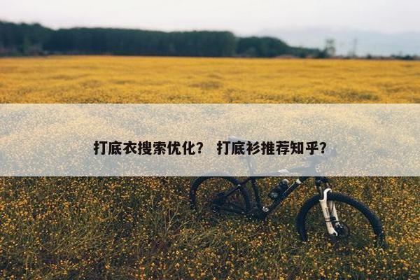 打底衣搜索优化？ 打底衫推荐知乎？