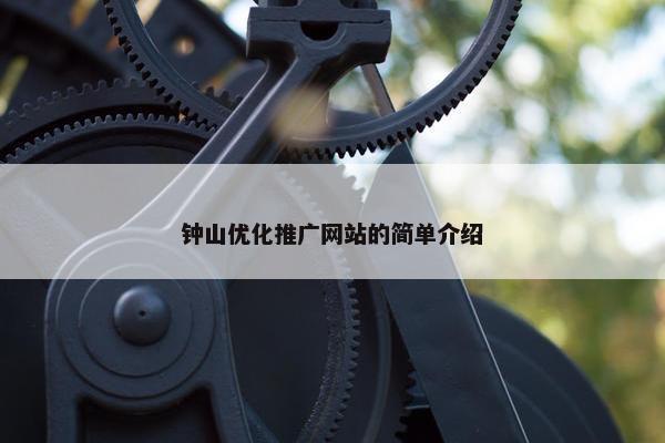 钟山优化推广网站的简单介绍