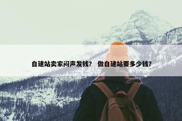 自建站卖家闷声发钱？ 做自建站要多少钱？
