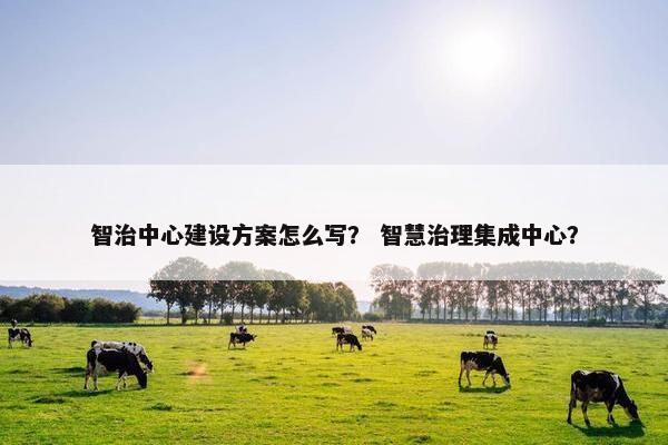 智治中心建设方案怎么写？ 智慧治理集成中心？