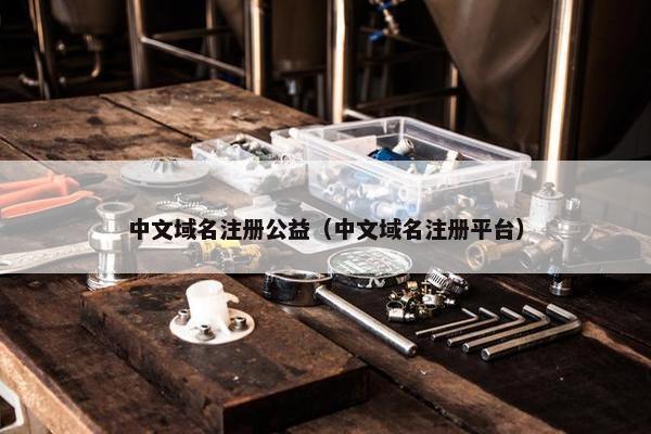 中文域名注册公益（中文域名注册平台）