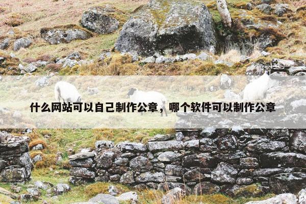 什么网站可以自己制作公章，哪个软件可以制作公章