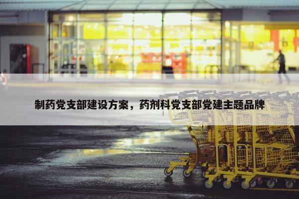 制药党支部建设方案，药剂科党支部党建主题品牌