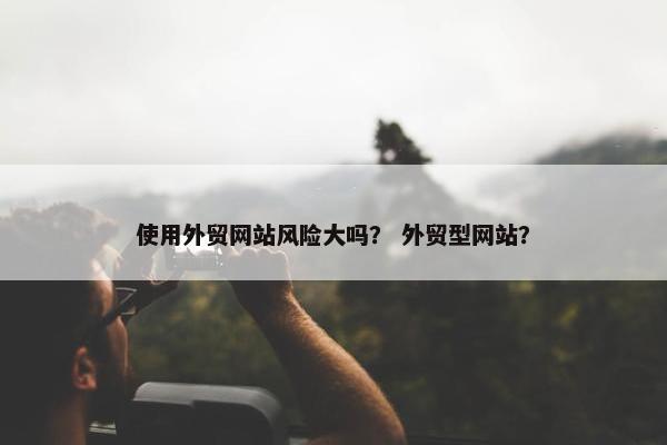 使用外贸网站风险大吗？ 外贸型网站？