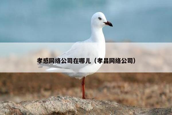 孝感网络公司在哪儿（孝昌网络公司）