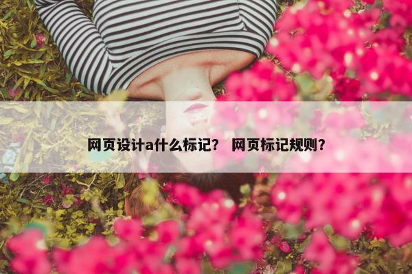 网页设计a什么标记？ 网页标记规则？