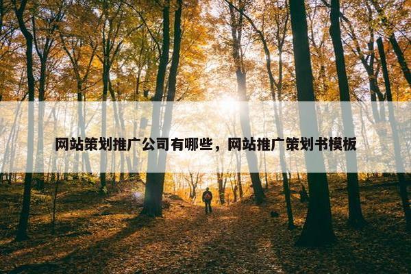 网站策划推广公司有哪些，网站推广策划书模板