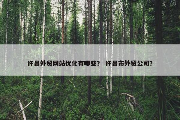 许昌外贸网站优化有哪些？ 许昌市外贸公司？