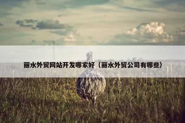丽水外贸网站开发哪家好（丽水外贸公司有哪些）