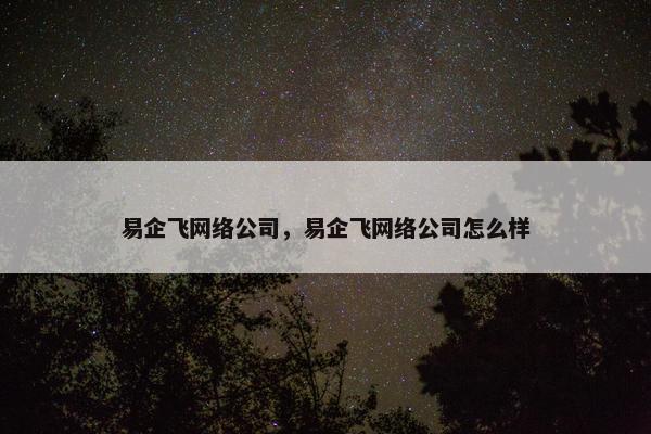 易企飞网络公司，易企飞网络公司怎么样