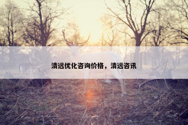 清远优化咨询价格，清远咨讯