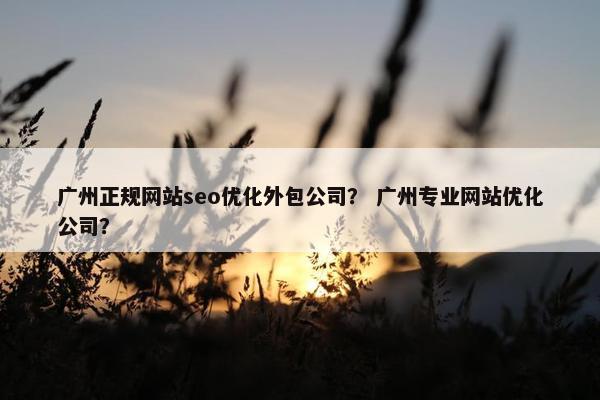 广州正规网站seo优化外包公司？ 广州专业网站优化公司？