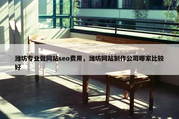 潍坊专业做网站seo费用，潍坊网站制作公司哪家比较好