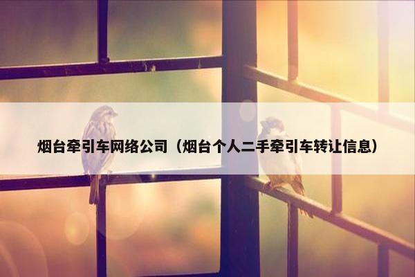 烟台牵引车网络公司（烟台个人二手牵引车转让信息）