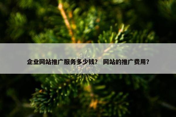 企业网站推广服务多少钱？ 网站的推广费用？