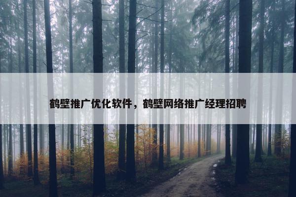 鹤壁推广优化软件，鹤壁网络推广经理招聘