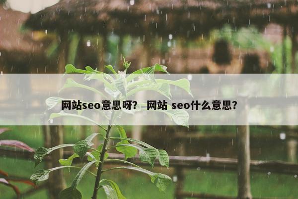 网站seo意思呀？ 网站 seo什么意思？