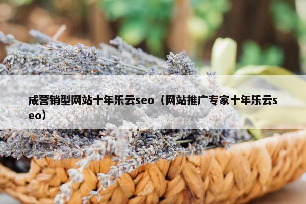 成营销型网站十年乐云seo（网站推广专家十年乐云seo）