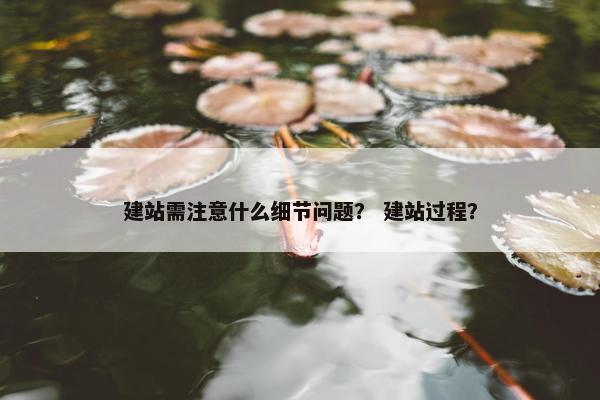 建站需注意什么细节问题？ 建站过程？