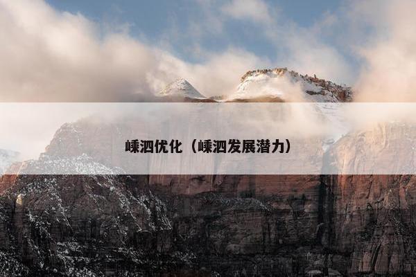 嵊泗优化（嵊泗发展潜力）