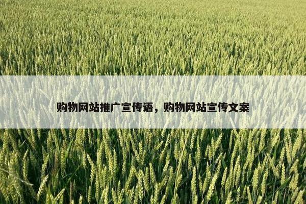 购物网站推广宣传语，购物网站宣传文案