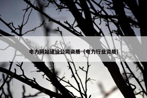 电力网站建设公司资质（电力行业资质）