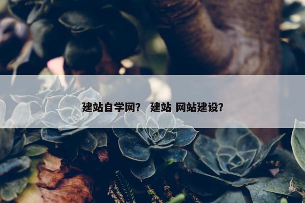 建站自学网？ 建站 网站建设？