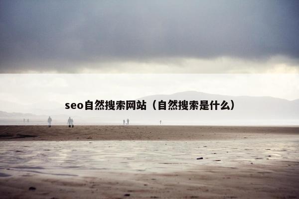 seo自然搜索网站（自然搜索是什么）