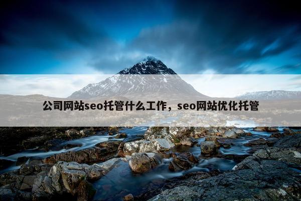 公司网站seo托管什么工作，seo网站优化托管
