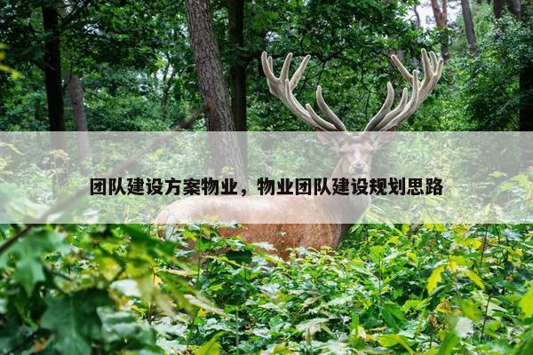 团队建设方案物业，物业团队建设规划思路