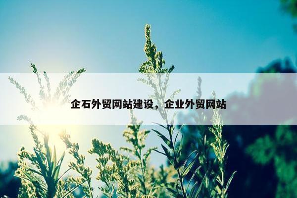 企石外贸网站建设，企业外贸网站