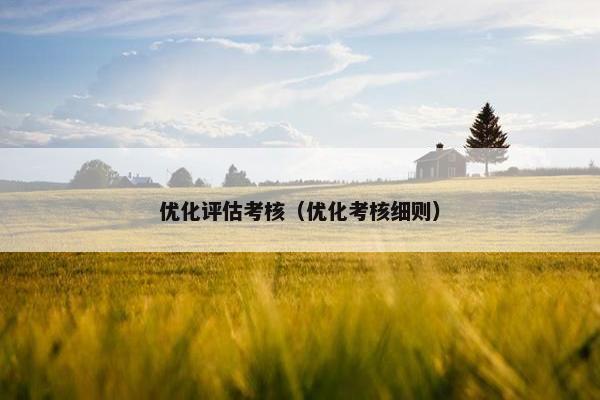 优化评估考核（优化考核细则）