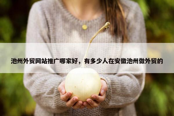 池州外贸网站推广哪家好，有多少人在安徽池州做外贸的