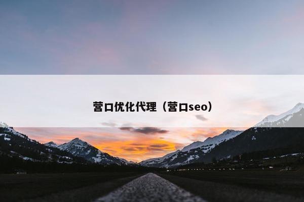 营口优化代理（营口seo）