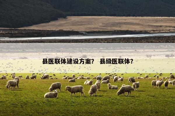 县医联体建设方案？ 县级医联体？