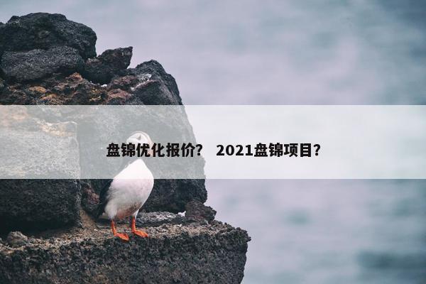 盘锦优化报价？ 2021盘锦项目？