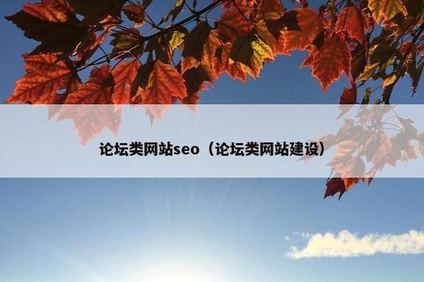 论坛类网站seo（论坛类网站建设）
