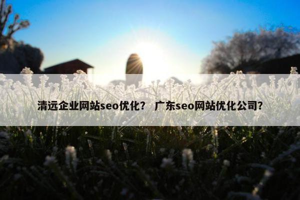 清远企业网站seo优化？ 广东seo网站优化公司？
