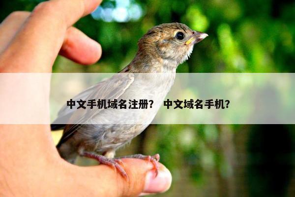 中文手机域名注册？ 中文域名手机？