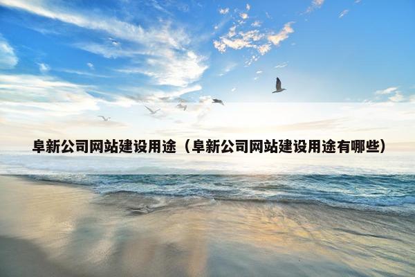阜新公司网站建设用途（阜新公司网站建设用途有哪些）