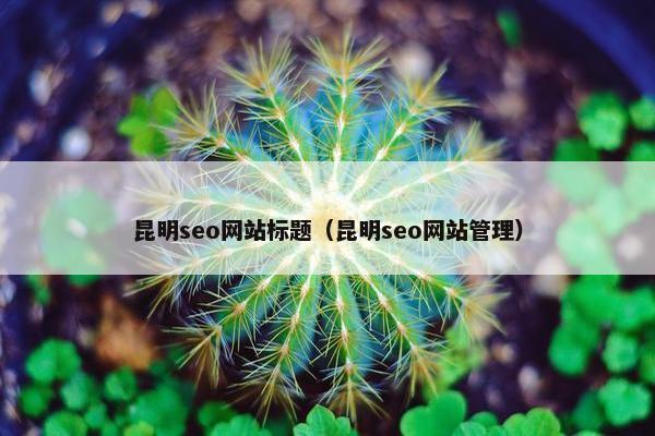 昆明seo网站标题（昆明seo网站管理）