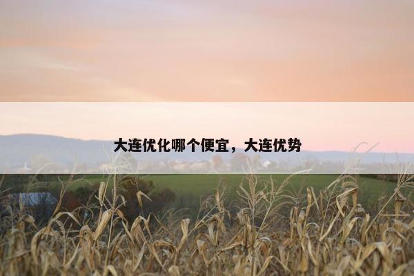 大连优化哪个便宜，大连优势